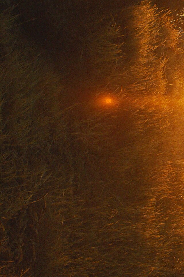 Wanda Orme artist Volcano Songs book 2021