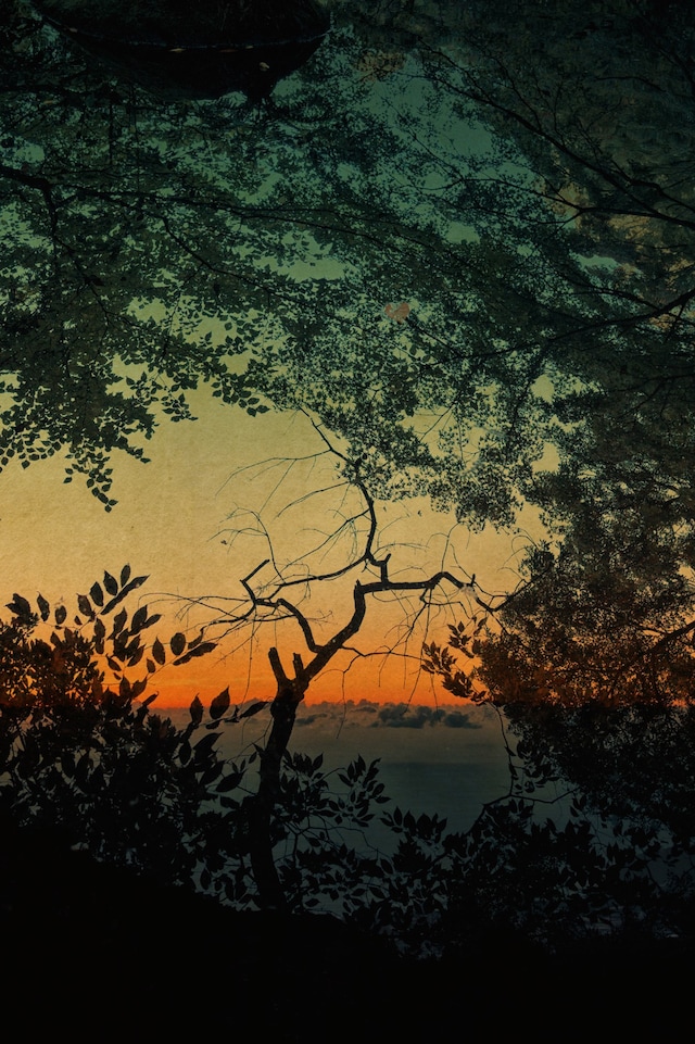 As Far As The Eye Can See