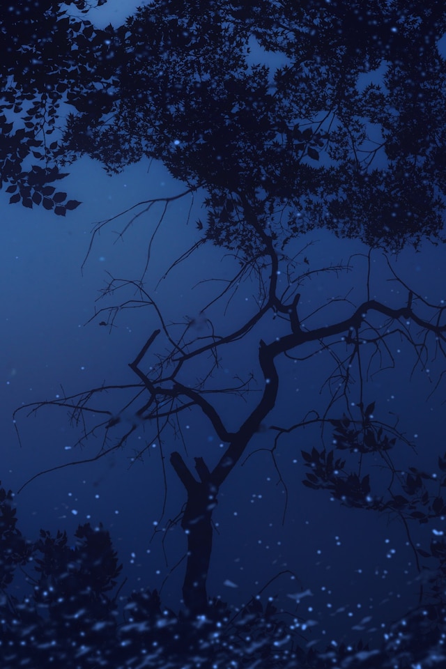 As Far As The Eye Can See