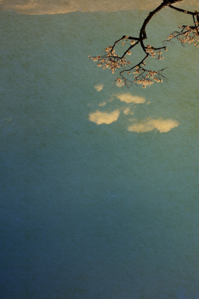 As Far As The Eye Can See