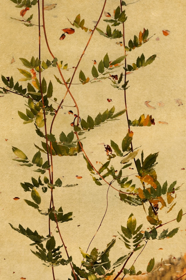 As Far As The Eye Can See