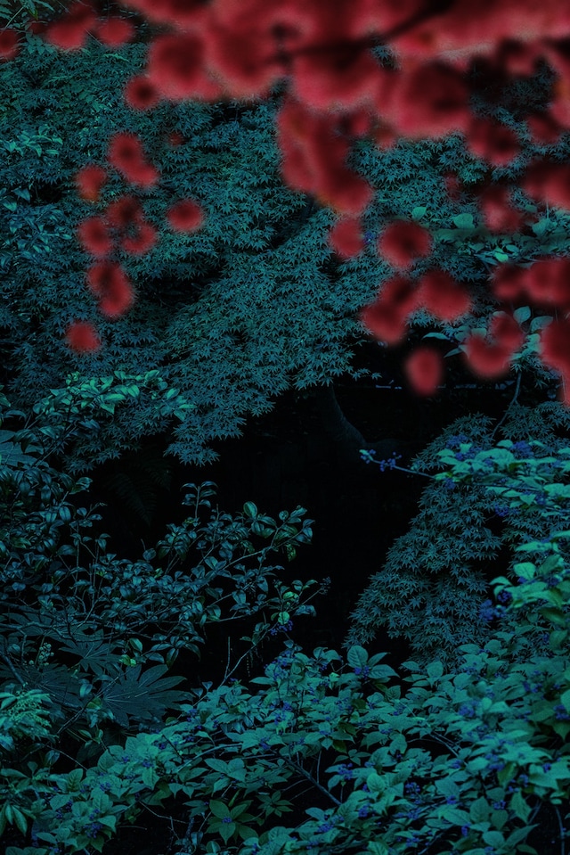 As Far As The Eye Can See