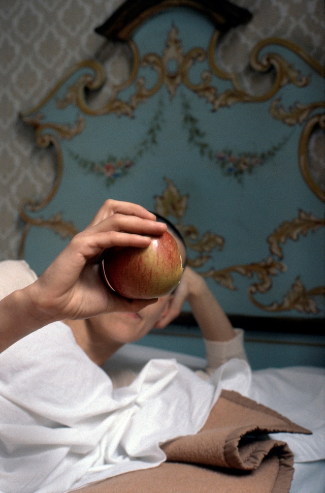 First Trip to Bologna Last Trip to Venice by Seiichi Furuya