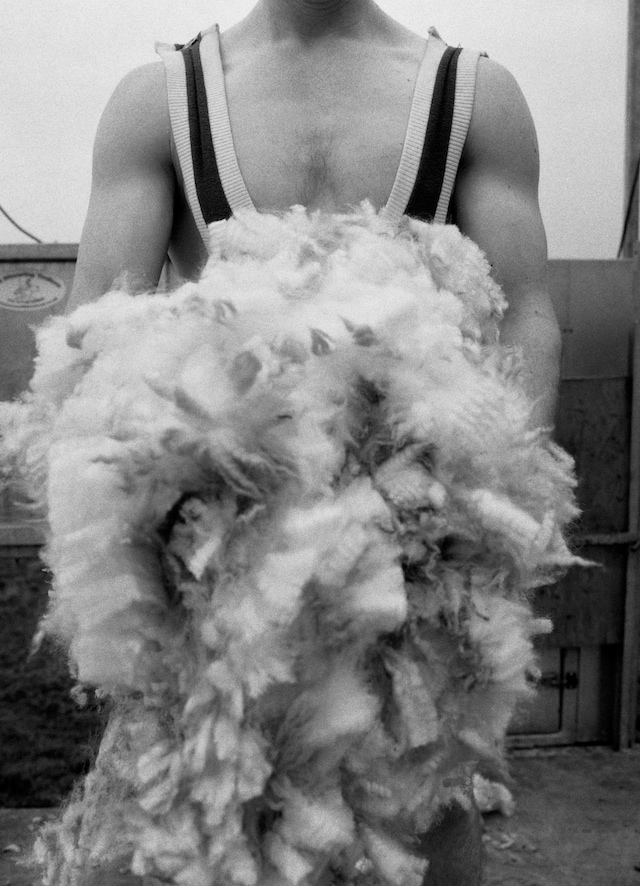 SS Daley Spring/Summer 2022 Campaign