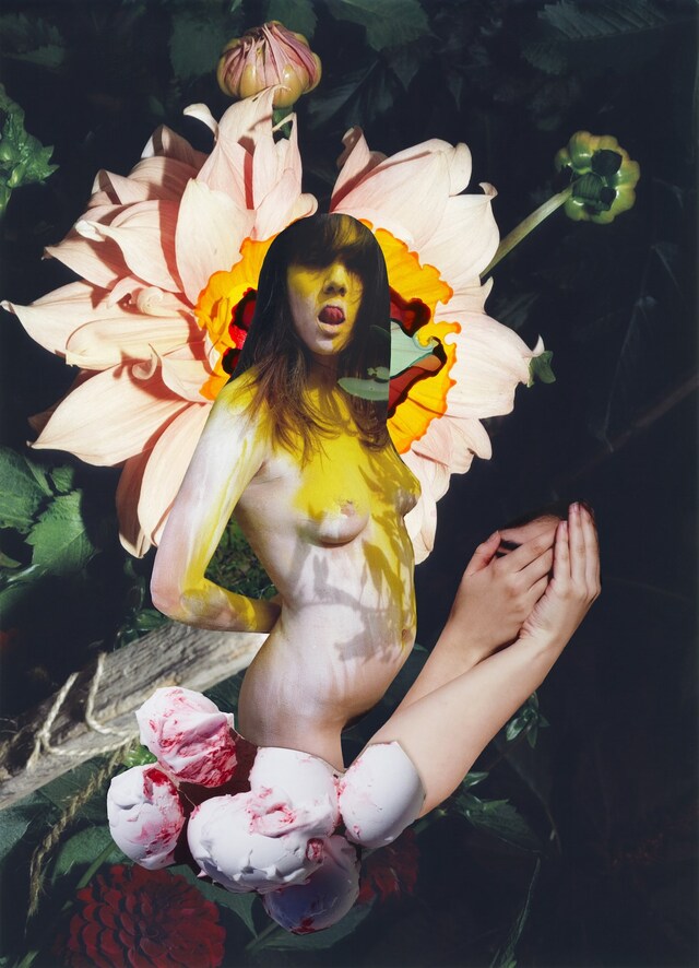 Modern Alchemy by Viviane Sassen and Emanuele Coccia 