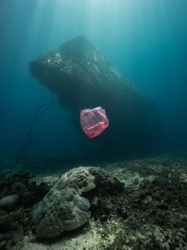 State of the Oceans Parley for the Oceans