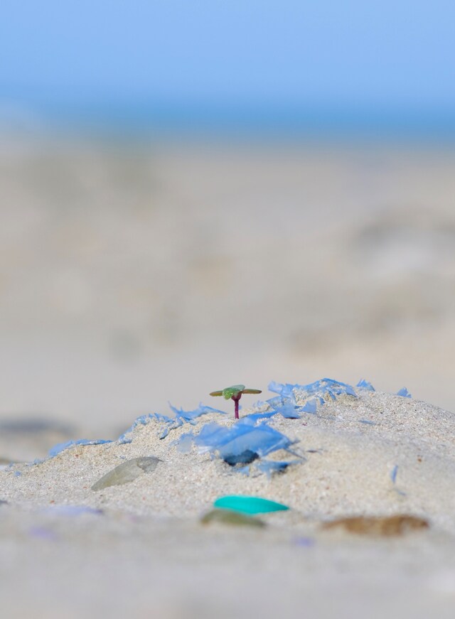 State of the Oceans Parley for the Oceans