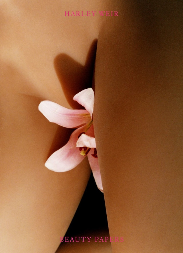 Harley Weir Beauty Papers IDEA