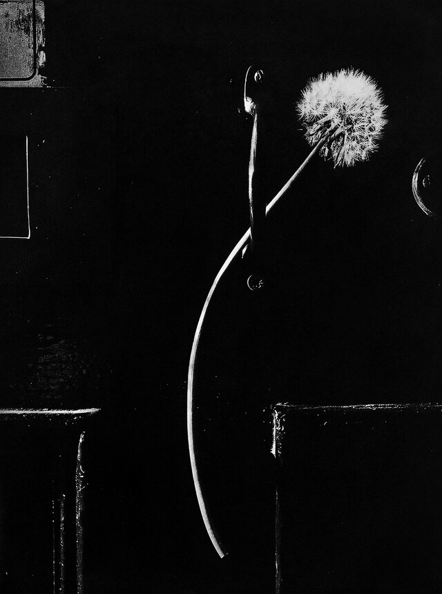 Photographic Etchings by Jack Davison