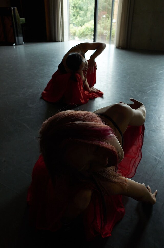 Motor Dance Journal