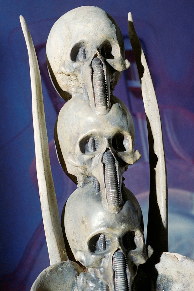 HR Giger by Camille Vivier