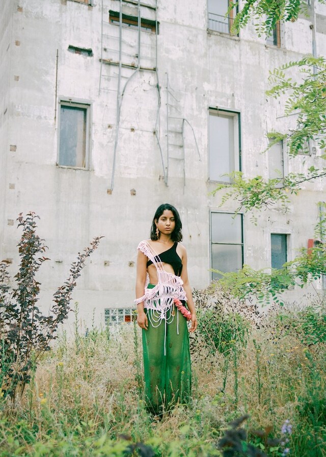 Diaspora Survival Tactics