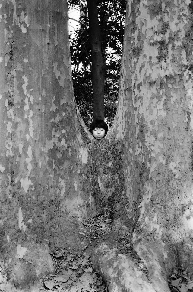 Hello Japan by Sergei Pavlov