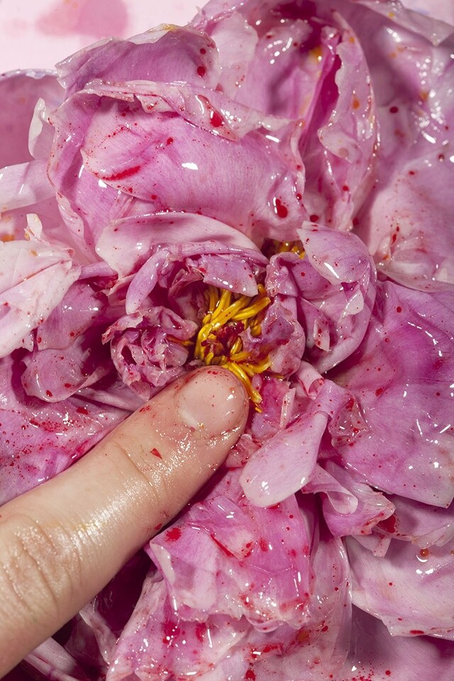 Maisie Cousins Finger, 2015 (11410)