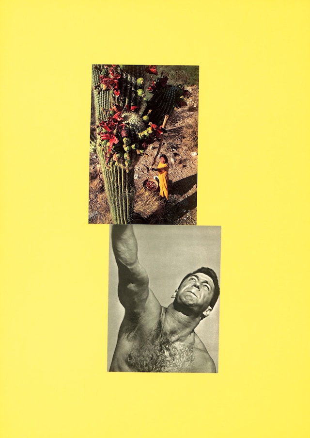 Love Songs: Photography and Intimacy ICP 