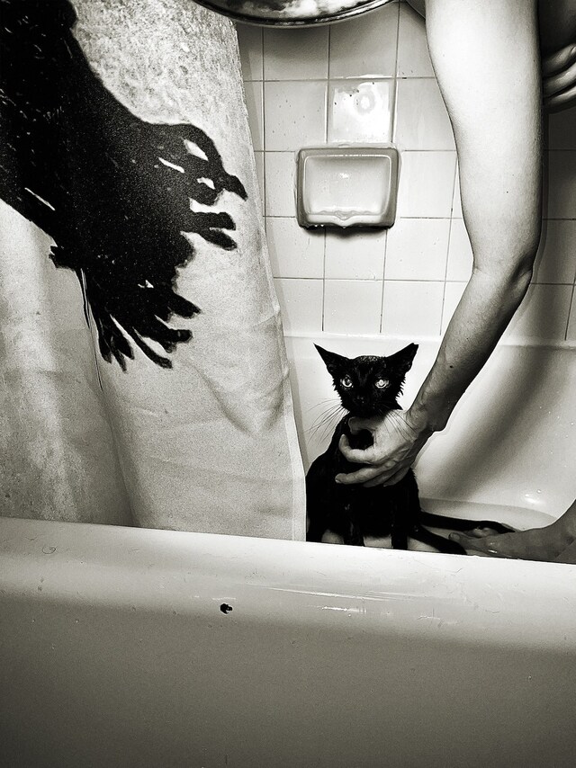 Curtains and Towels by Katie Burnett