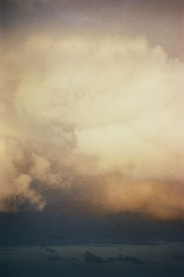 Frank by Matthew Leifheit