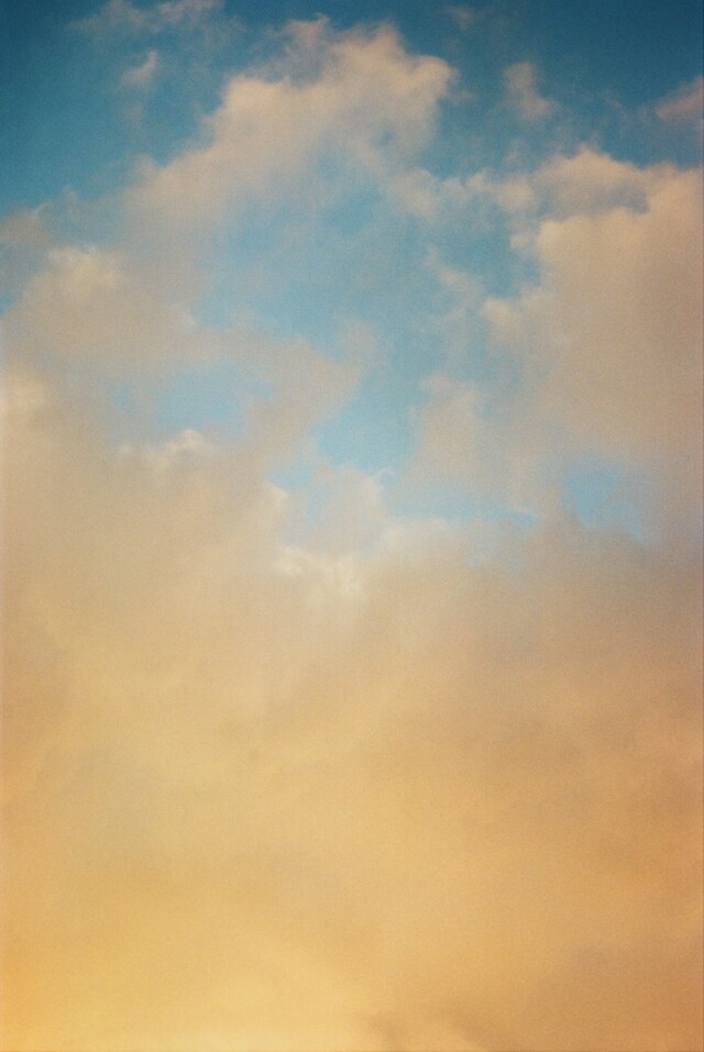 Frank by Matthew Leifheit