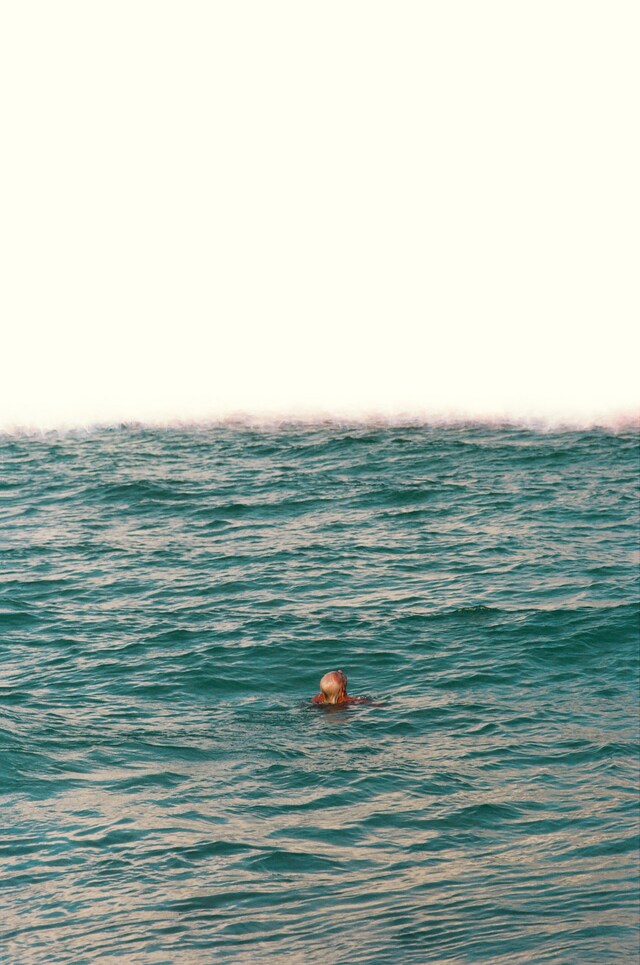 Frank by Matthew Leifheit