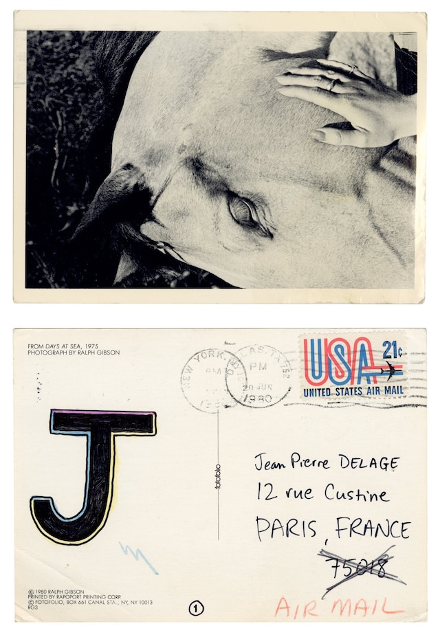 Dear Jean Pierre by David Wojnarowicz