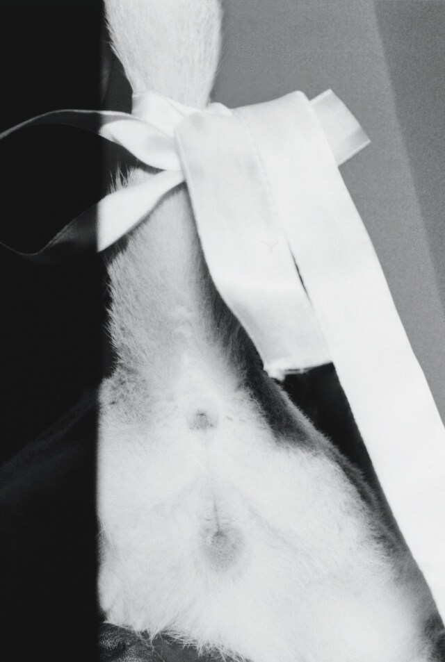 Cat Tree by Nicola and Manuel