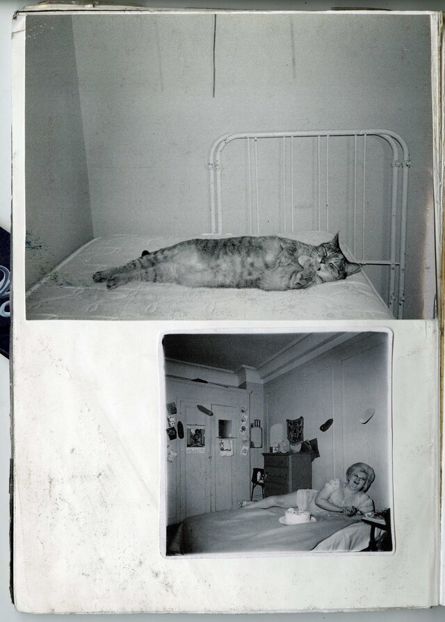 Brett Lloyd photographer Candyland book David Armstrong