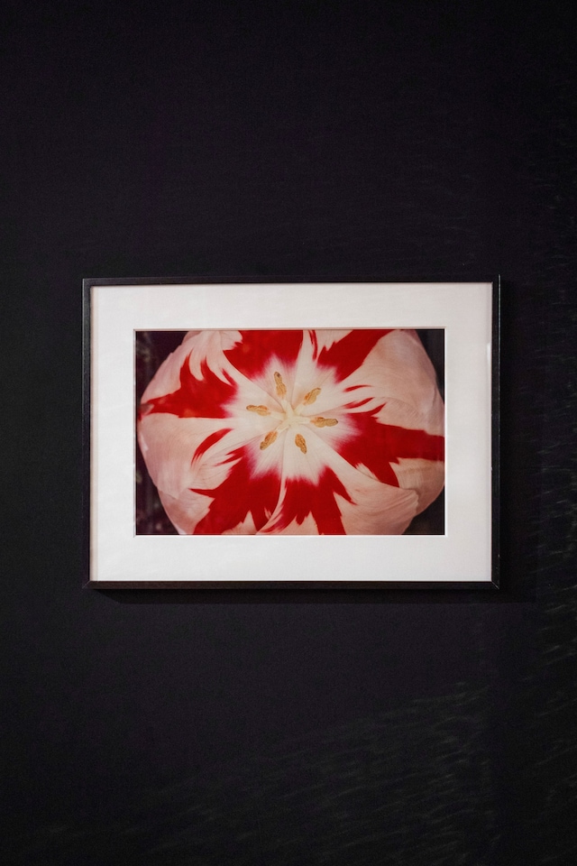 Guerlain_Les_Fleurs_du_Mal_2023_TomyDo (17)