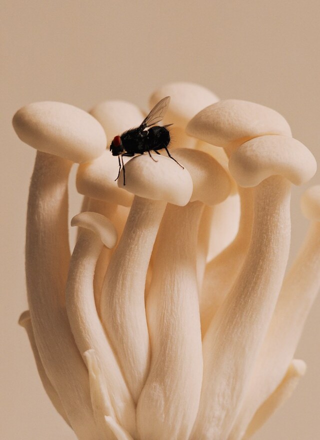 Ben Toms – Untitled, 2021