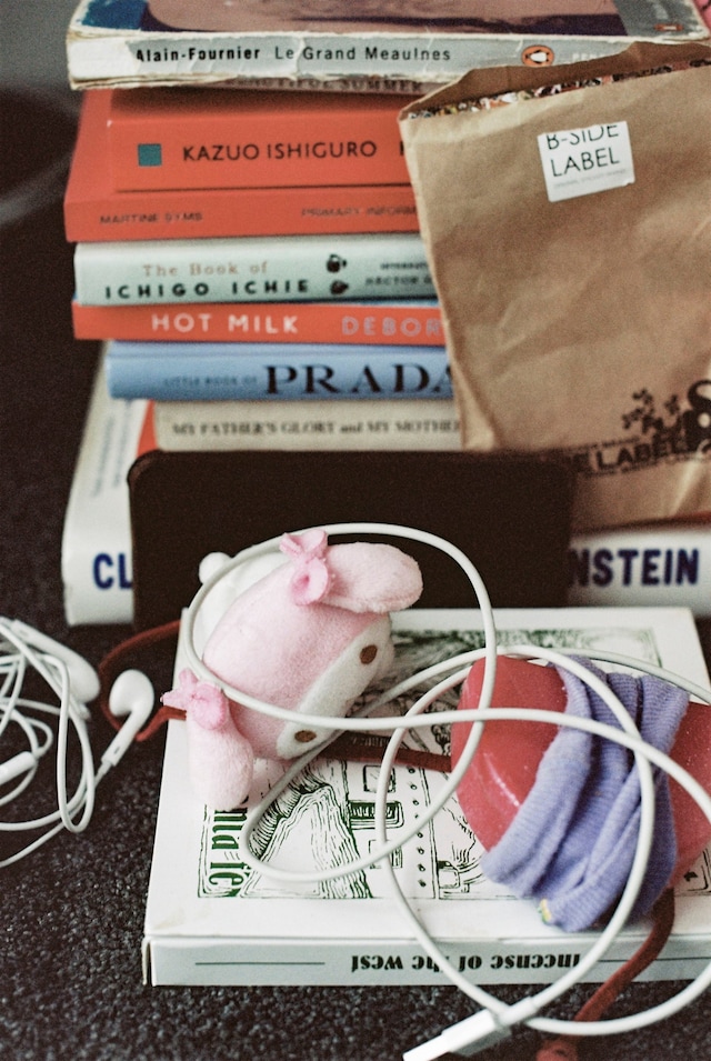 Zenobia’s Dreams by Laura Marie Cieplik