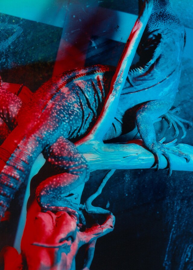 893 Yakuza: The Setting Sun