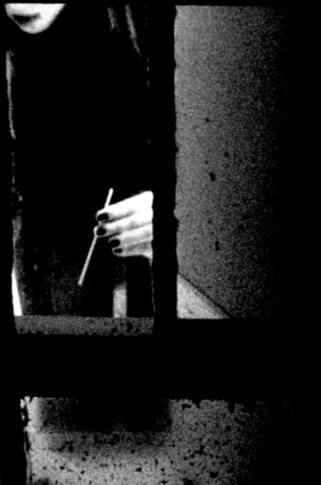 Dirty Windows by Merry Alpern