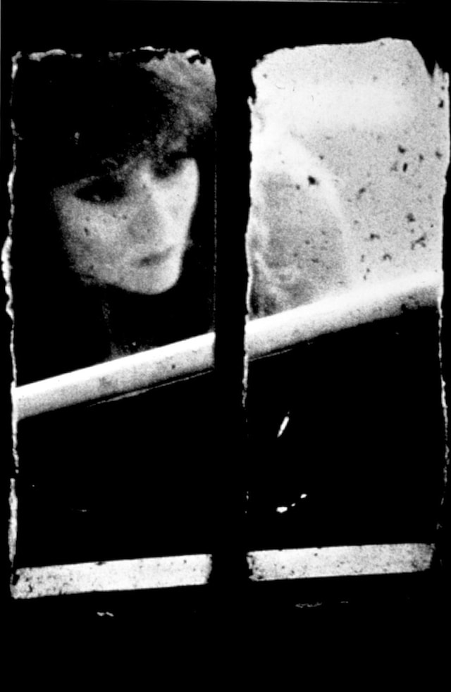 Dirty Windows by Merry Alpern