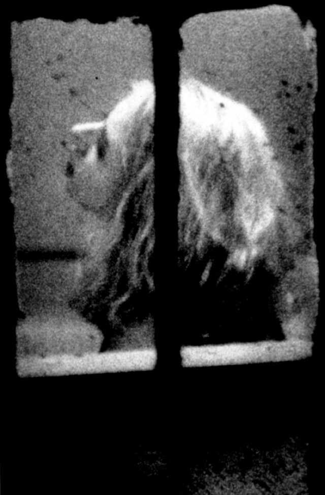 Dirty Windows by Merry Alpern