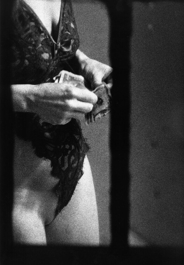 Dirty Windows by Merry Alpern