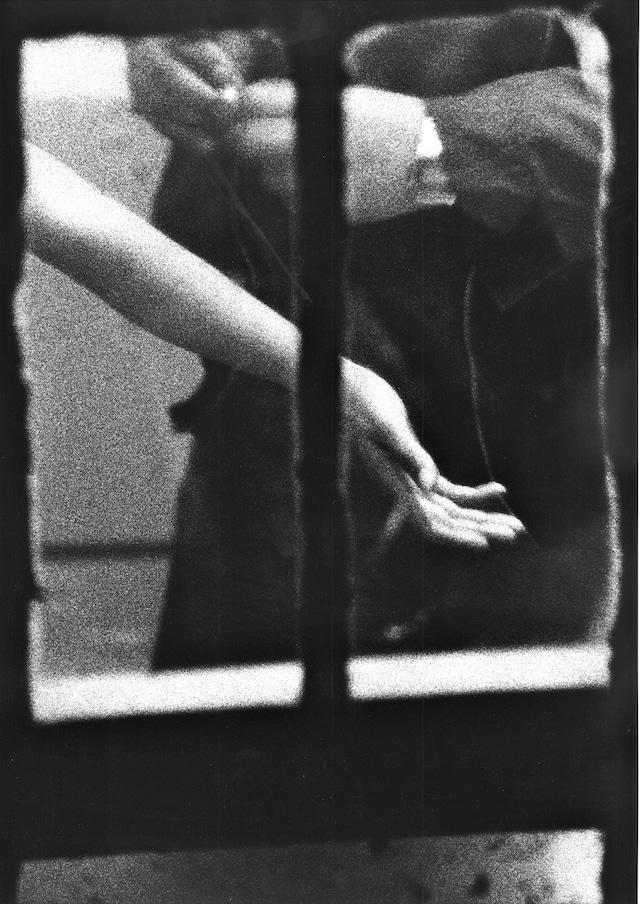 Dirty Windows by Merry Alpern