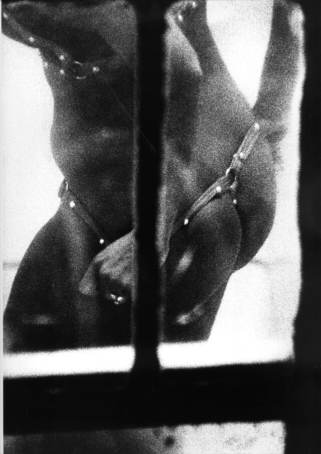 Dirty Windows by Merry Alpern