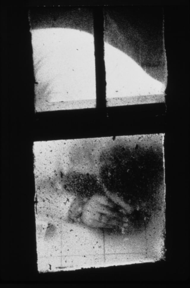 Dirty Windows by Merry Alpern