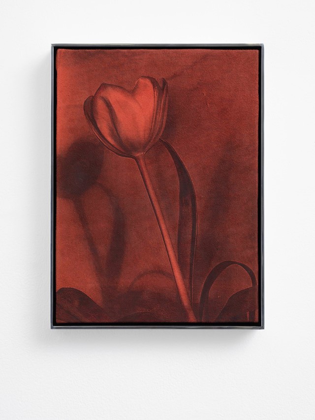 Solid Objects by Poppy Jones
