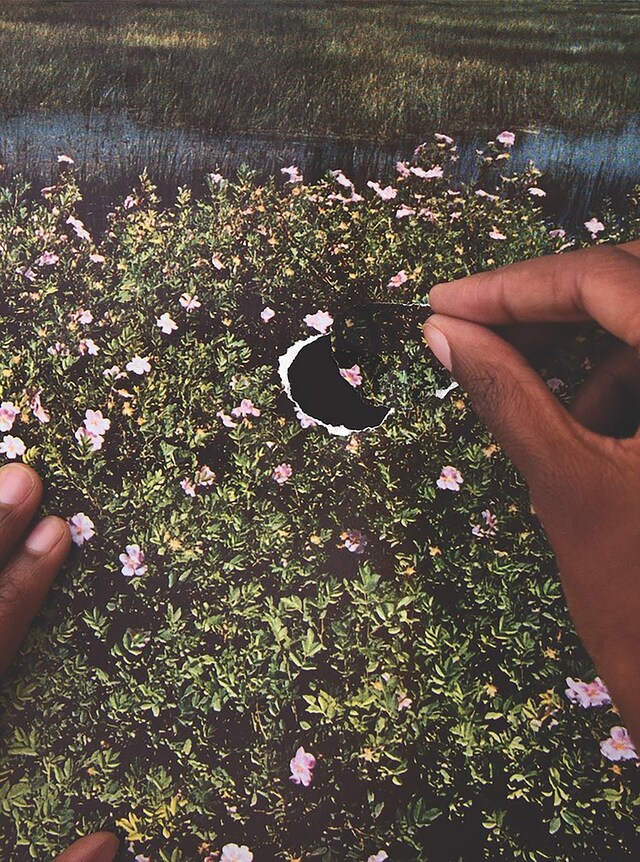 Widening the Lens at the Carnegie Museum of Art