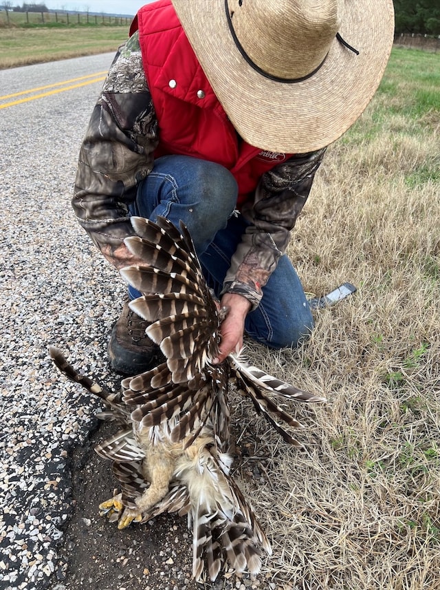 Shirttail Kin by Chivas Clem American Southern Rednecks