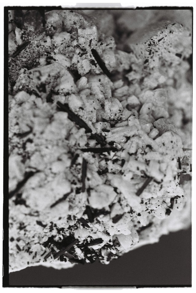 Hyphos by Lucas Bauer