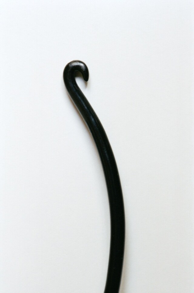 Hyphos by Lucas Bauer