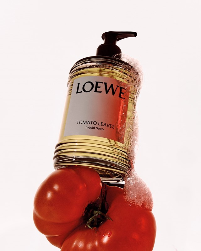 LOEWE AGOSTO 0416728