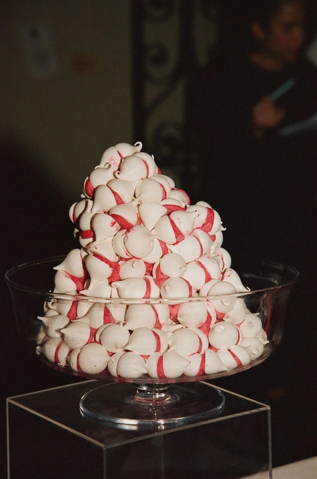 Longchamp Celebrates S/S25 Collection at The Garden Museum