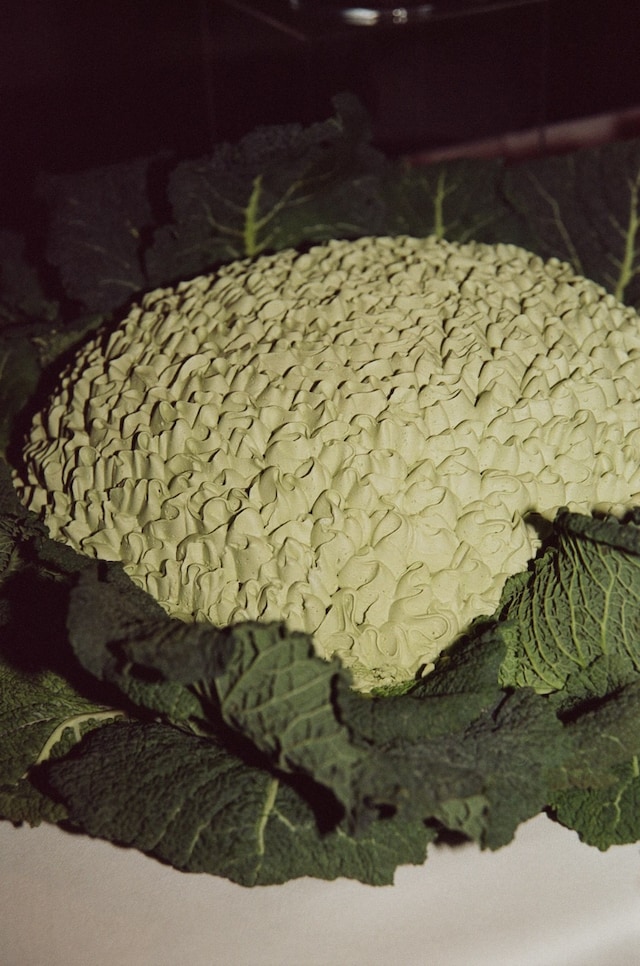 Longchamp Celebrates S/S25 Collection at The Garden Museum