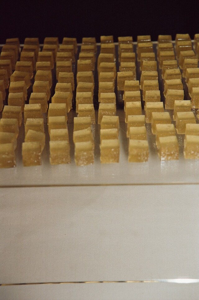 Longchamp Celebrates S/S25 Collection at The Garden Museum