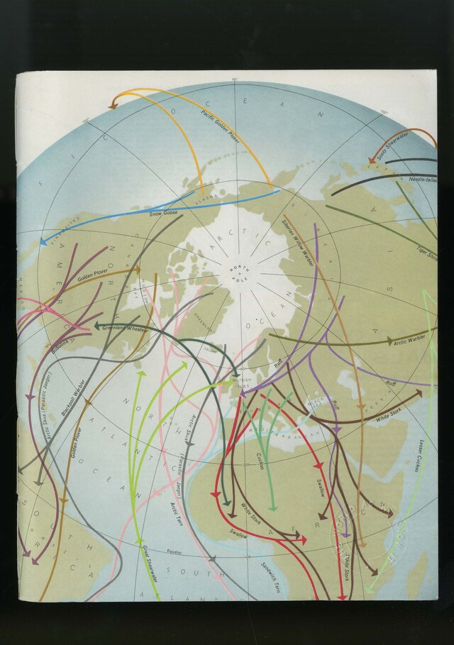 Photographs taken on West Street, Sheffield by Jet Swan 