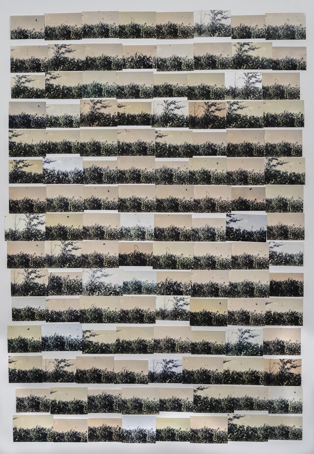 My Mother and Eye by Carmen Winant