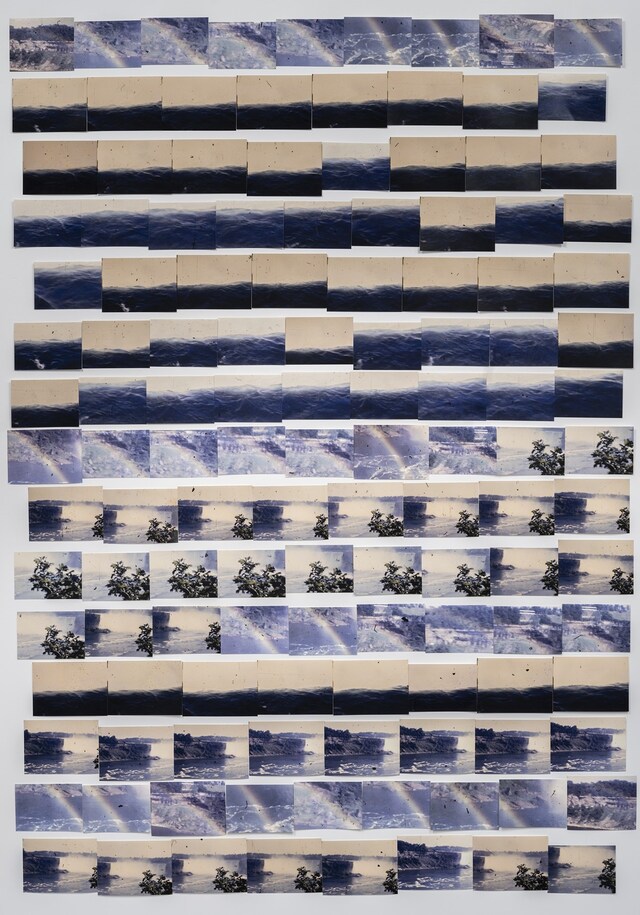 My Mother and Eye by Carmen Winant