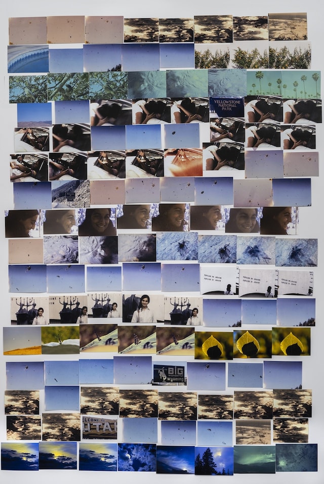 My Mother and Eye by Carmen Winant